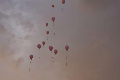 Gala Redovan CC2018 055